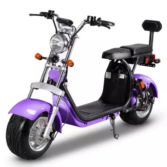 Citycoco Scooter elettrico a 2 ruote con Fat Tire Popolare 2000W 60V CE con batteria al litio rimovibile 1500W