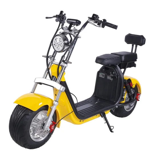 Citycoco Scooter elettrico a 2 ruote con Fat Tire Popolare 2000W 60V CE con batteria al litio rimovibile 1500W