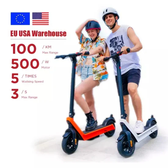 EU USA Stock 100 km a lungo raggio 1000 W Potente scooter elettrico per adulti a doppia trazione Pneumatici da 10 pollici per tutti i terreni Scooter elettrico pieghevole per la Svezia Raycool per adulti