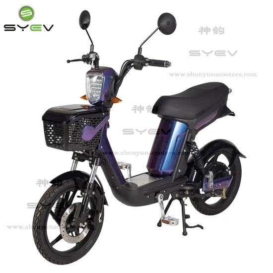 Scooter elettrico per mobilità a 2 ruote da 500 W con cavo 48V12ah