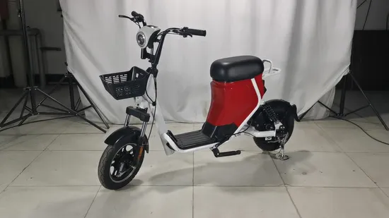 2023 Scooter sportivo elettrico con batteria al piombo o batteria al litio intera o CKD all'ingrosso