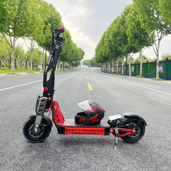 2023 Nuovo scooter elettrico a doppio motore da 1000 W X2 all'ingrosso