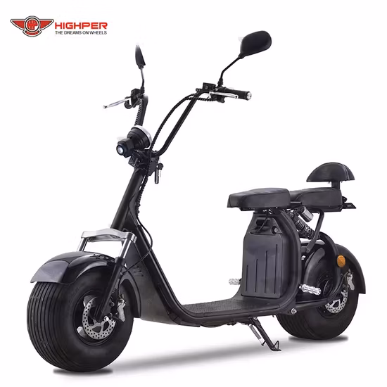 I prodotti più venduti Scooter elettrico Scoter 1000W